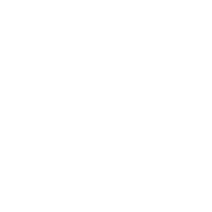 Rose Slots 500x500_white